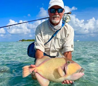 WhatsApp Image 2023-08-24 at 06.44.03.jpeg WhatsApp Image 2023-08-24 at 06.44.03.jpeg