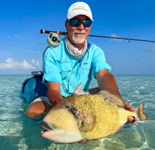 WhatsApp Image 2023-08-24 at 06.44.04.jpeg WhatsApp Image 2023-08-24 at 06.44.04.jpeg