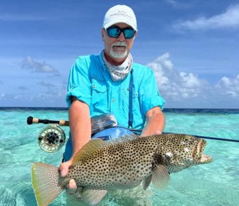 WhatsApp Image 2023-08-24 at 06.44.12.jpeg WhatsApp Image 2023-08-24 at 06.44.12.jpeg