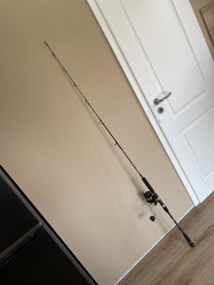 IMG_0389.jpeg IMG_0389.jpeg