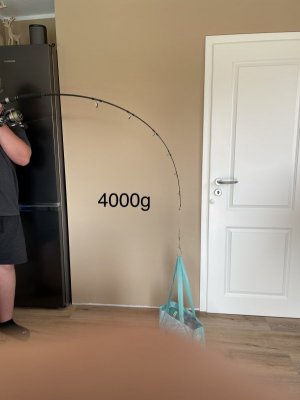 IMG_0380.jpeg IMG_0380.jpeg