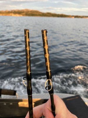 IMG_5705.jpeg IMG_5705.jpeg