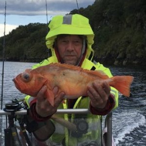 1dd99554-95d2-4e2e-b9fb-30cc2403765b.jpeg 1dd99554-95d2-4e2e-b9fb-30cc2403765b.jpeg