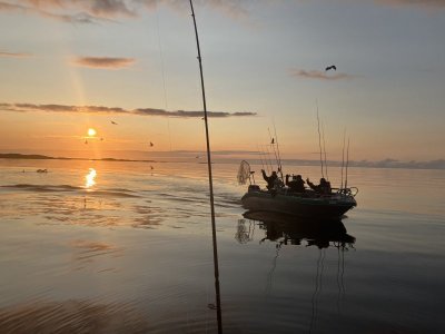 IMG_5931.jpeg IMG_5931.jpeg