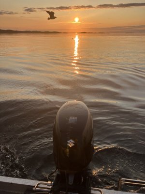 IMG_5933.jpeg IMG_5933.jpeg