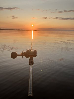 IMG_5937.jpeg IMG_5937.jpeg