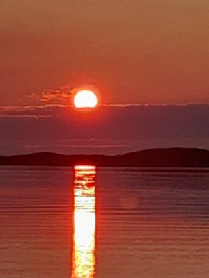 4770c69e-b426-47a0-a1e0-cfe2ea52d1f6.jpeg 4770c69e-b426-47a0-a1e0-cfe2ea52d1f6.jpeg