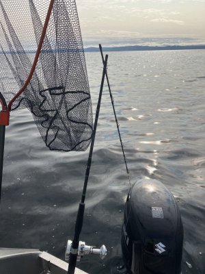 IMG_5960.jpeg IMG_5960.jpeg