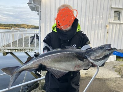 IMG_5971.jpeg IMG_5971.jpeg