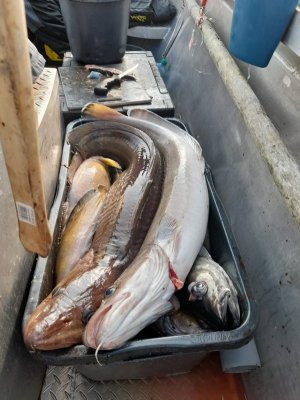 4d237c69-212e-49c6-84b0-d9f3781bba6b.jpeg 4d237c69-212e-49c6-84b0-d9f3781bba6b.jpeg