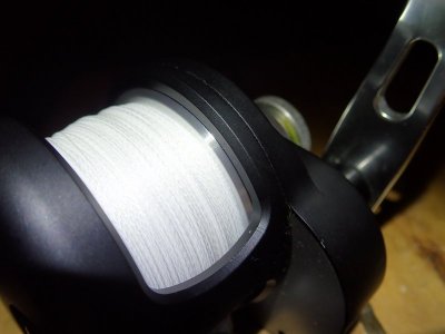 P9040396.JPG P9040396.JPG