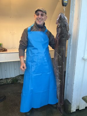 IMG_6504.jpeg IMG_6504.jpeg