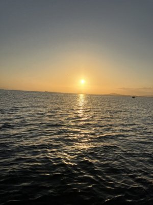 IMG_6449.jpeg IMG_6449.jpeg