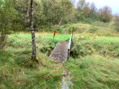 cca5f846-58cb-47f1-ba7d-838753ee74d4.jpeg cca5f846-58cb-47f1-ba7d-838753ee74d4.jpeg