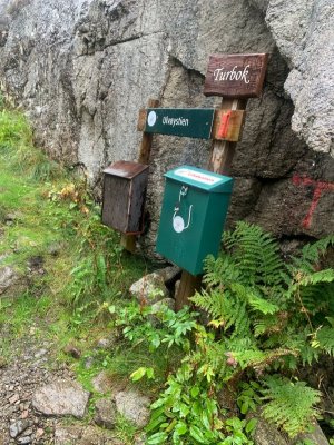 402931e6-9674-4367-b82b-23895cce3158.jpeg 402931e6-9674-4367-b82b-23895cce3158.jpeg