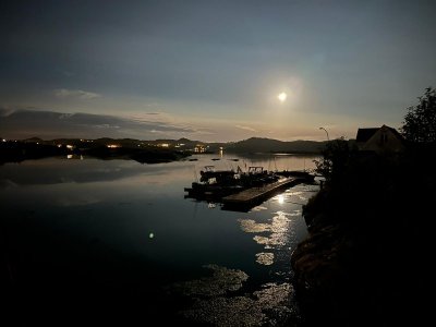 61e3c291-8846-4251-a7bf-0cfe9025fb36.jpeg 61e3c291-8846-4251-a7bf-0cfe9025fb36.jpeg