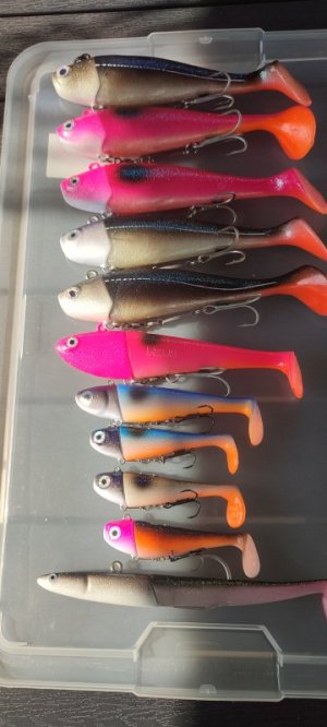 IMG_20230909_103559.jpg