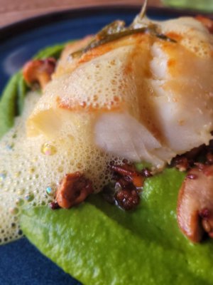 20230910_193726.jpg 20230910_193726.jpg