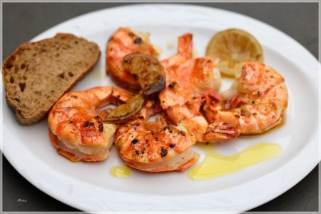 C85A0950.comp.jpg C85A0950.comp.jpg