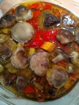 IMG_20231001_182123.jpg IMG_20231001_182123.jpg