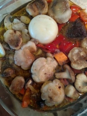 IMG_20231001_165315.jpg IMG_20231001_165315.jpg