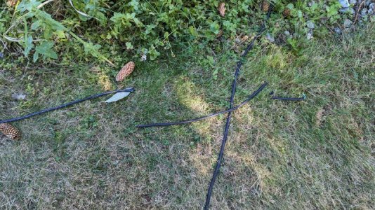 PXL_20230928_094853950.jpg PXL_20230928_094853950.jpg