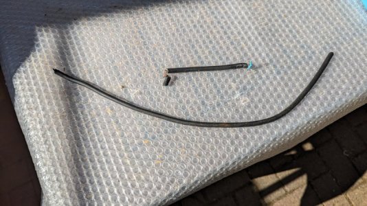 PXL_20230928_095310718.jpg PXL_20230928_095310718.jpg