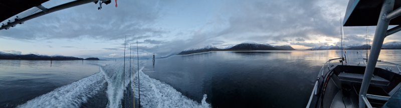20231009_175259.jpg