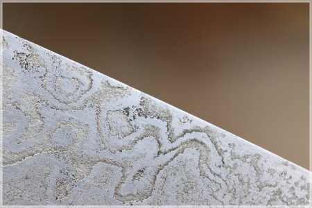 C85A1786.comp.jpg C85A1786.comp.jpg