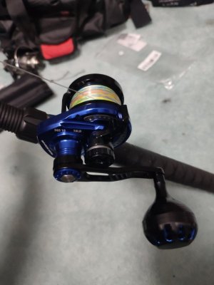 IMG_20231016_193241.jpg IMG_20231016_193241.jpg