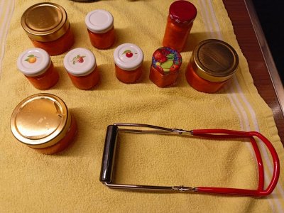 WhatsApp Bild 2023-10-16 um 18.54.28_5b8589d6.jpg