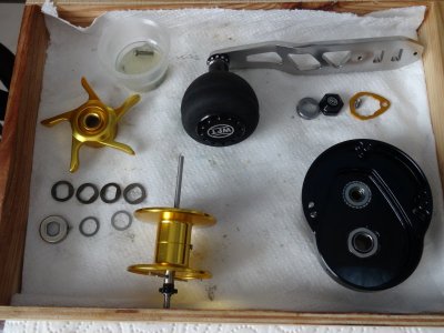 WFT Sen Sea W2 007.JPG