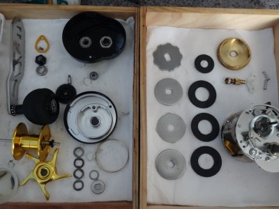 WFT Sen Sea W2 015.JPG