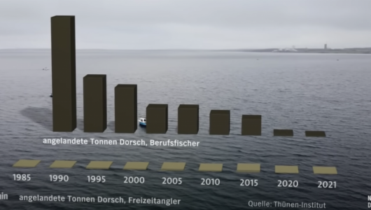 Screenshot 2023-10-24 at 20.51.12.png