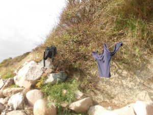 DSCI6206 Kopie.jpg DSCI6206 Kopie.jpg