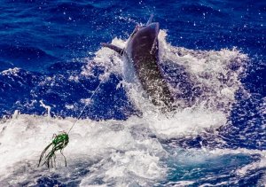 20160118-IMG_2649 - Kopie.jpg