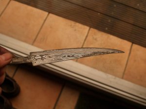 k-P2197544.jpg k-P2197544.jpg