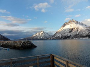 SDC12633.jpg SDC12633.jpg