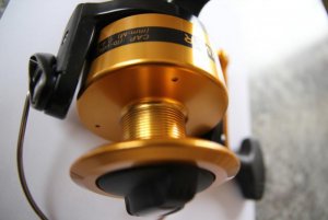 IMG_5375.jpg IMG_5375.jpg