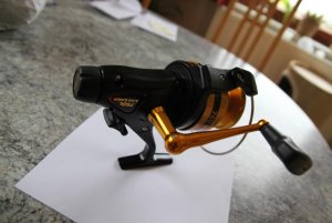 IMG_5378.jpg IMG_5378.jpg