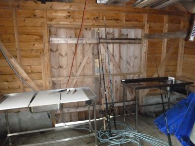 P1000330.JPG P1000330.JPG