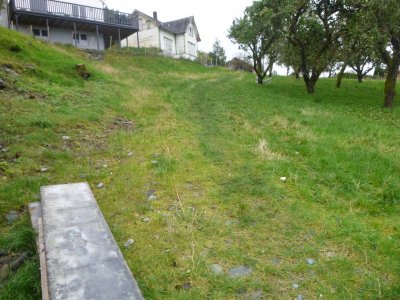 P1000331.JPG P1000331.JPG