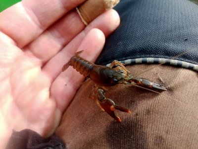 IMG_20231023_122412_212.jpg IMG_20231023_122412_212.jpg