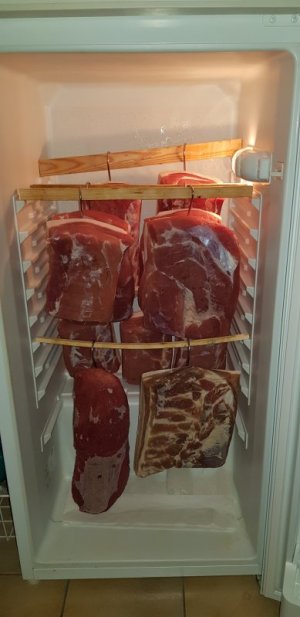 20231026_165106[1].jpg