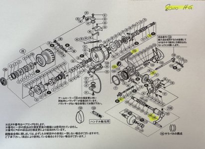 Shimano Stella SWA 8000HG.jpg