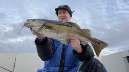 IMG_8803.jpeg IMG_8803.jpeg