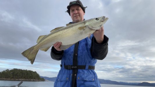 IMG_8828.jpeg IMG_8828.jpeg