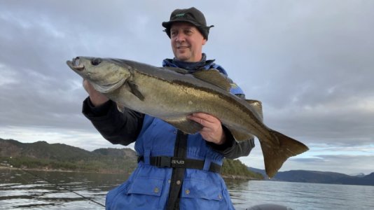 IMG_8861.jpeg IMG_8861.jpeg