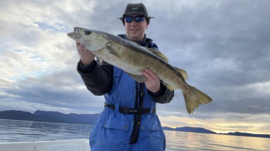 IMG_8899.jpeg IMG_8899.jpeg