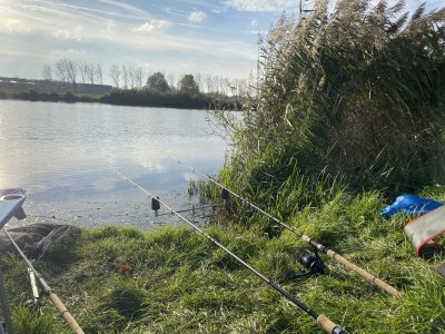 IMG_5854.jpeg IMG_5854.jpeg